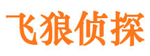 金家庄飞狼私家侦探公司